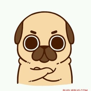 Meet your Posher, Molly